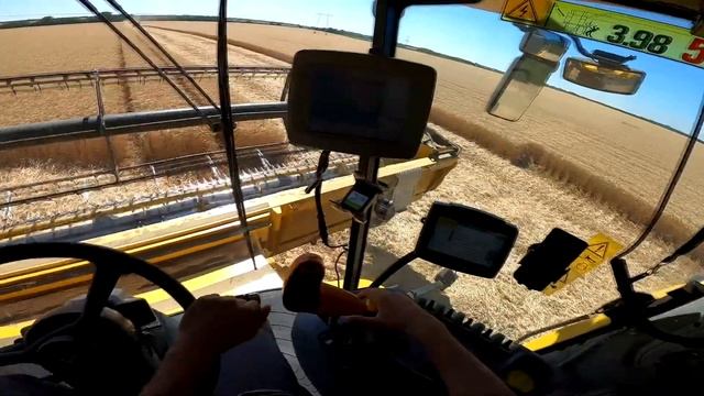 NewHolland CX 8060 - Búza Aratás [POV] смотреть онлайн