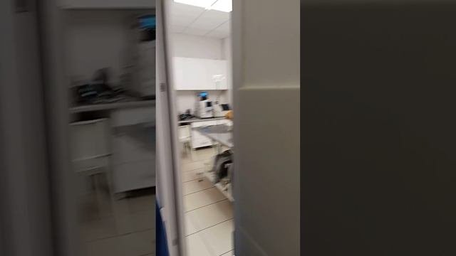 ветеринар года!