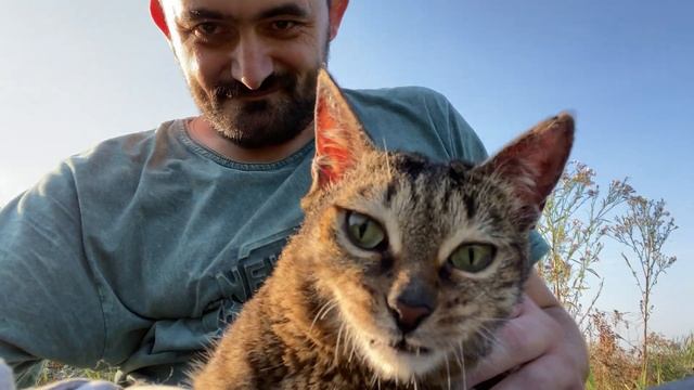 ПОСЛЕДНИЕ КАДРЫ С ПИРАТИКОМ?КОТОЖИЗНЬ!