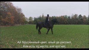 Мы идём с конём