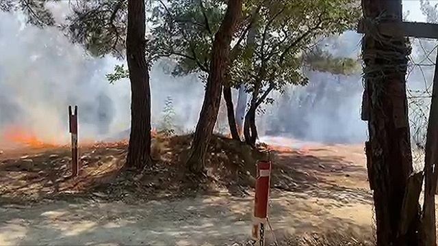 Под Геленджиком в районе пляжа «Сосновка» горит лес.