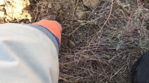 Nokta Makro Simplex Plus МИФ О ВЫБИТЫХ МЕСТАХ