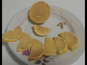 Лимон мейер на автополиве. Дегустация плода.