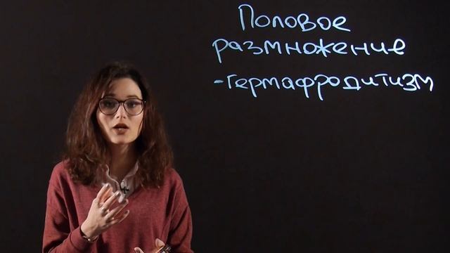 БИОЛОГИЯ 10 класс : Половое размножение