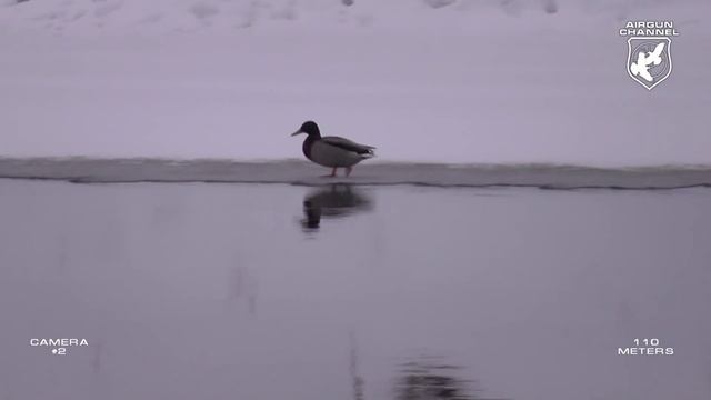 Первый Блин Матадора смотреть онлайн