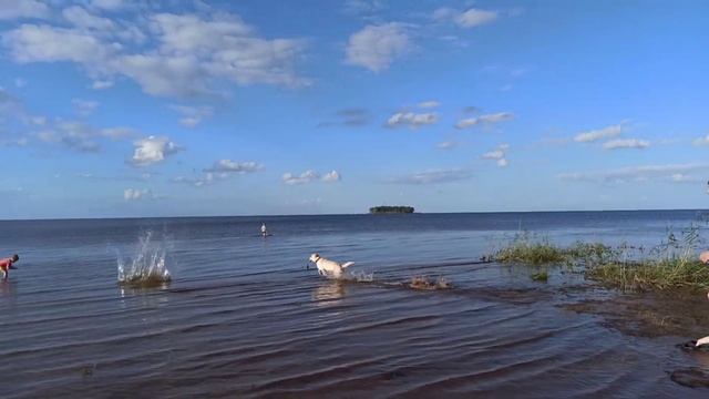 На Рыбинском водохранилище в палатке с детьми и собакой/Три берега/Влог