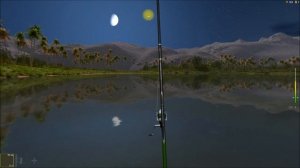 Черепаха белогрудая складная, место поимки в игре Trophy Fishing 2