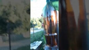 Пальма из бутылок легко и просто