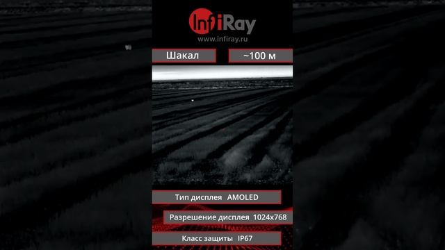 Тепловизионный прицел iRay Rico MIcro 25 640