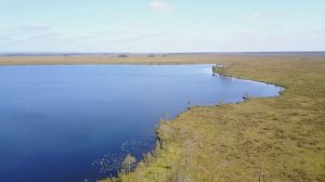 Жемчужины озёр среди бескрайних болот.Красивейшая природа Республики Коми