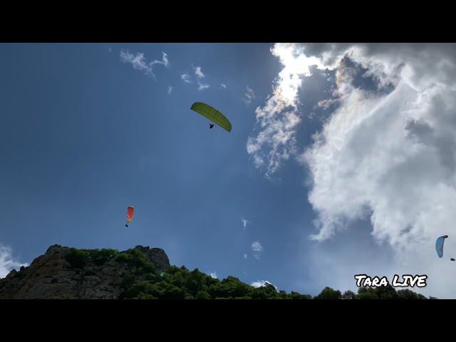 Первый полёт на параплане  #чегем ⛰#полетнапараплане