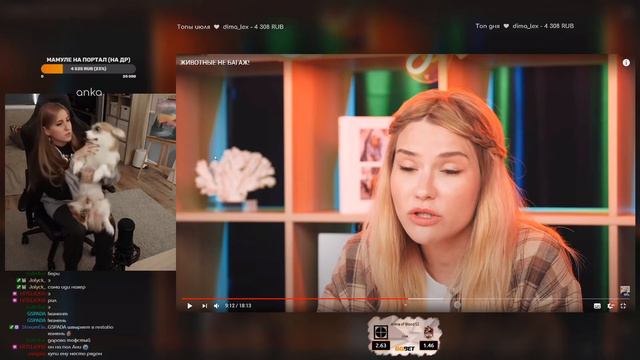 ANKA смотрит : ЖИВОТНЫЕ НЕ БАГАЖ! смотреть онлайн