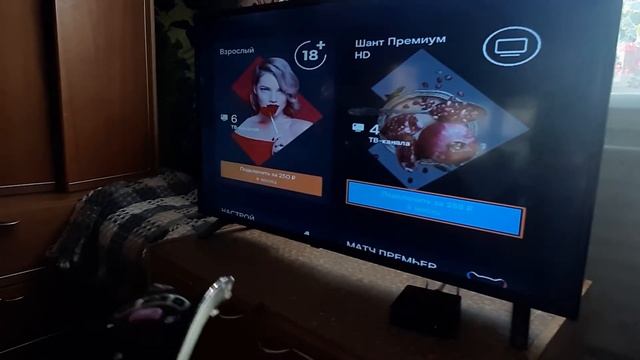 Как управлять услугами на тв приставке Wink смотреть онлайн