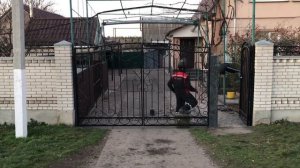 Ворота распашные и калитка. С элементами ковки. Автоматические. Установка. 16.11.2022