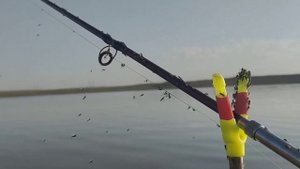 КЛЮЮТ СРАЗУ ПО ДВА! Ловля карася на закидушки. Рыбалка на карася.