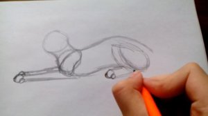 Уроки рисования №3 | Как нарисовать кота в лежачей позе | Рисуем легко | Для начинающих | #13