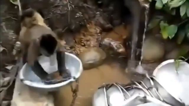 Хорошая жена кому то достанется смотреть онлайн