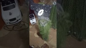 @хапуга#как ловить хапугой#рыболовная снасть хапуга#хапуга своими руками#