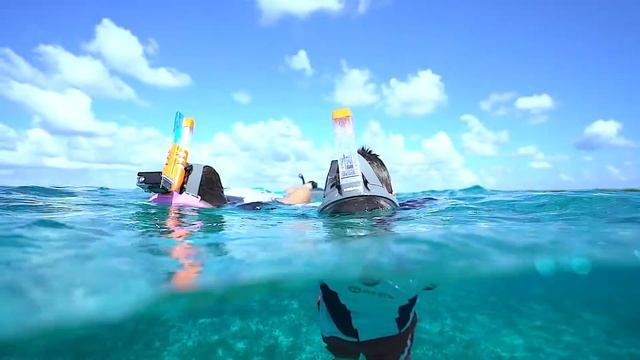 HEAD Sport FFM Assembly & Care смотреть онлайн