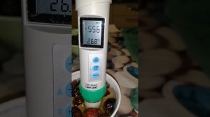 Шиповника плоды. Замеры = ОВП (окислительно восстановительный потенциал). H2 =свободный водород.