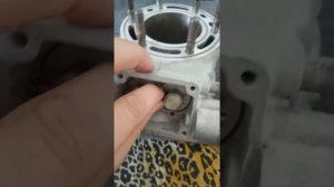 Suzuki rmx 250 цилиндр от Рукавкина, клапана из Ижевска.