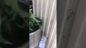Самодельная траворезка из стиральной машины