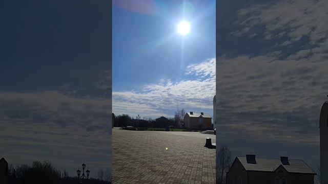 1000000806.mp4 смотреть онлайн