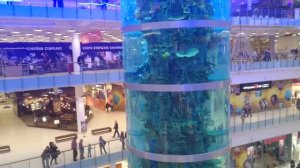 Аквариум в 5 этажей ТЦ "Авиапарк", Москва