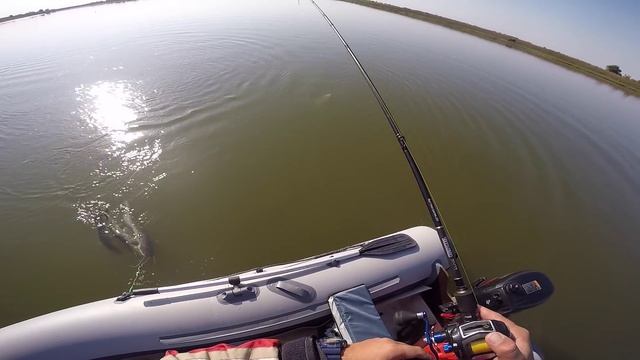 ЛОВЛЯ СУДАКА НА КРУПНЫЕ ПРИМАНКИ.РЫБАЛКА В АСТРАХАНИ Terminator Shad Jigger 240 смотреть онлайн