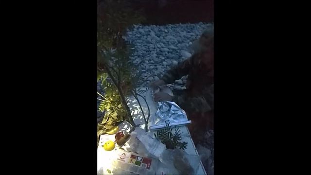 лето 2018 смотреть онлайн