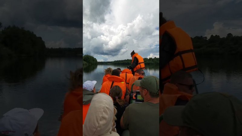 Тур в Норский заповедник