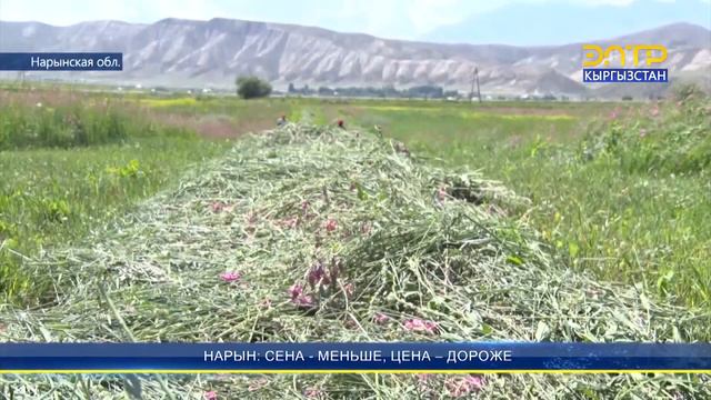 НАРЫН: СЕНА - МЕНЬШЕ, ЦЕНА – ДОРОЖЕ смотреть онлайн