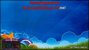 Не рвите цветы (караоке +0,5 тона)