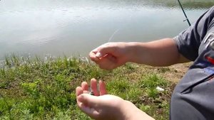 Ловим толстолобика на резинку. Рыбалка на толстолобика