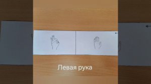 Упражнения для мозга и мелкой моторики "Смотри и повторяй". Улучшают скорость передачи сигналов.