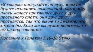 Утренние чтения. Духовны ли мы? Духовные, душевные и плотские христиане