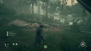 КАК АТАКОВАТЬ И КАК УБИТЬ ТИГРА --- Ancestors: The Humankind Odyssey --- ГАЙД #3