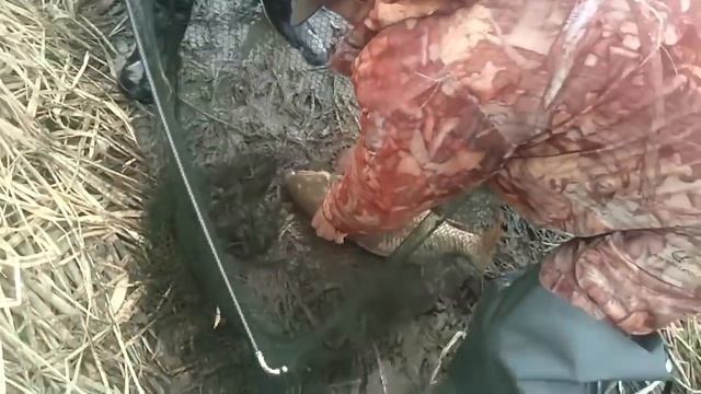 Лучшие моменты на рыбалке 2016 Новинка! смотреть онлайн