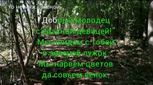 Ах ты, душечка! Русская-народная песня Караоке