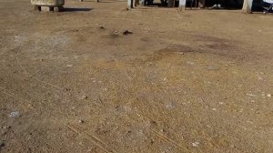 "Мёртвое море" Баку или солёный источник Говсаны.