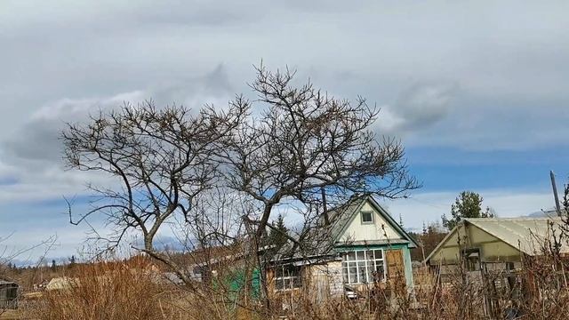 Первый день на даче. Всё спит. Никого вокруг. Дачный влог смотреть онлайн