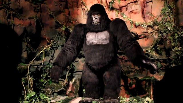 Океанариум Думан Астана - Джунгли Горилла - 2016_06_10 смотреть онлайн