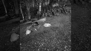 апхахаха🤣🤣🤣🤣