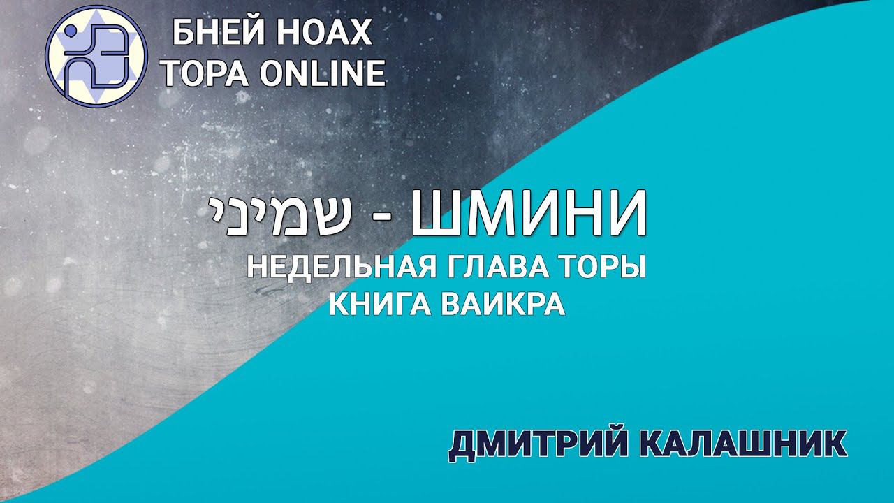Недельная глава Торы - Парашат а-шавуа - "Шмини" 5784/2024. Дмитрий Калашник
