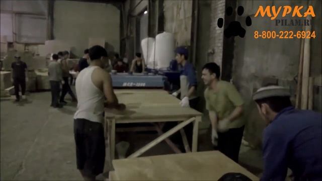 Дисковый многопильный станок для листовых материалов pilam.ru пиление фанеры смотреть онлайн