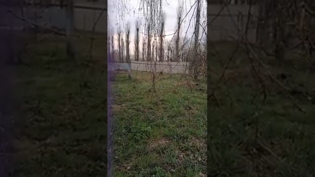 Учитель Христос. Космос. Часть 5. Созвездие Лира смотреть онлайн