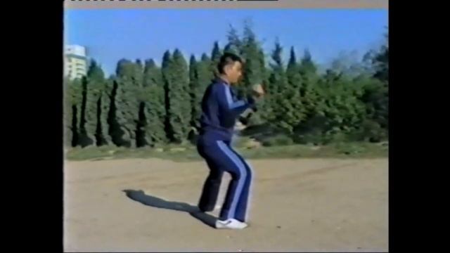Как низко выполнять форму тайцзицюань? смотреть онлайн