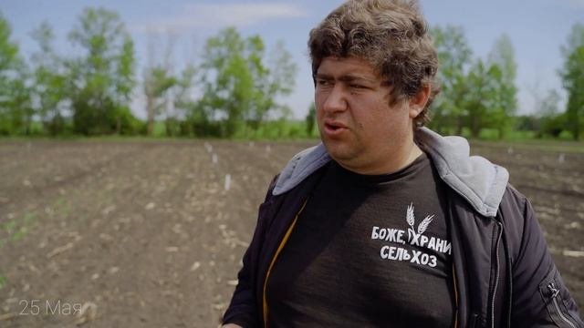 Сев подсолнечника и кукурузы, Стимуляторы роста, Семинар 