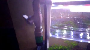 Подмена воды в аквариуме + запуск 2 аквариума