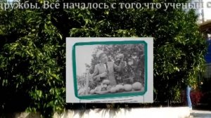 экскурсия школьников. Дерево дружбы в городе Сочи